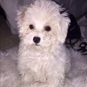 Meet your Posher, Lynne